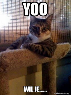 The Most Interesting Cat in the World