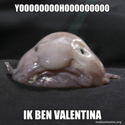 Blobfish