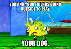 Mocking SpongeBob