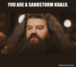 Hagrid - I should not have said that