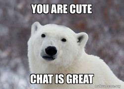 Popular Opinion Polar Bear