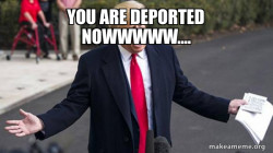 Trump - Impeachment Quid Pro Quo