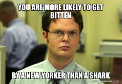 Fact: you are more likely to get bitten in New York than by a shark