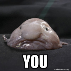 Blobfish