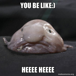 Blobfish
