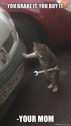 Mechanic Cat