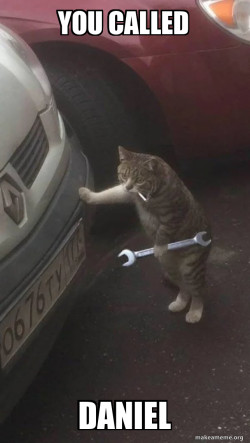 Mechanic Cat