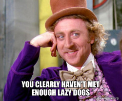 Willy Wonka Sarcasm Meme