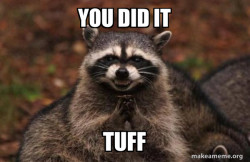 Evil Plotting Raccoon