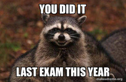 Evil Plotting Raccoon