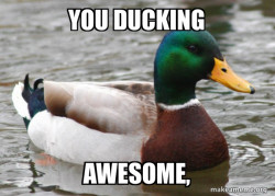 Actual Advice Mallard