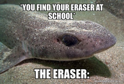 Dirty Joke Dogfish