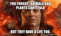 Frodo it's over it's done