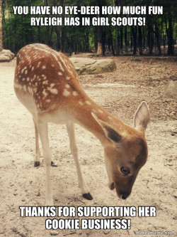 O M G Deer