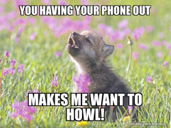 Baby Insanity Wolf