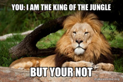 Contemplative Lion