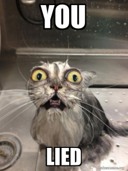 Cat bath