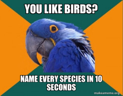 Paranoid Parrot