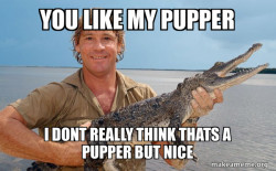 Steve irwin