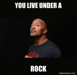 Dwayne Johnson (The Rock)