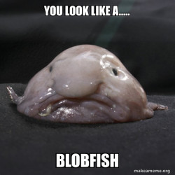 Blobfish
