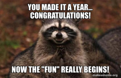 Evil Plotting Raccoon