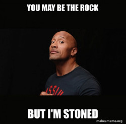 Dwayne Johnson (The Rock)