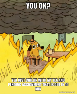 This Is Fine