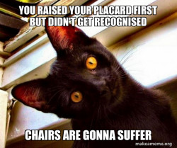 Overly Attached Cat