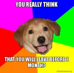 Advice Dog