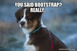 Unsure Dog