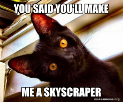 Overly Attached Cat
