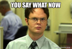 Schrute Facts (Dwight Schrute from The Office)