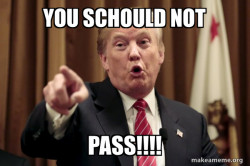Donald Trump Says