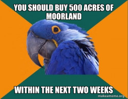 Paranoid Parrot