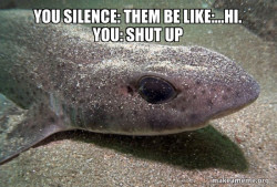 Dirty Joke Dogfish