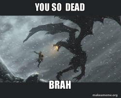 Skyrim Dragon Slaying