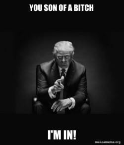 Trump Sitting In Chair - I Am In Their Way