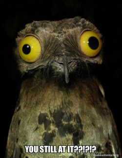 Weird Stuff I do Potoo