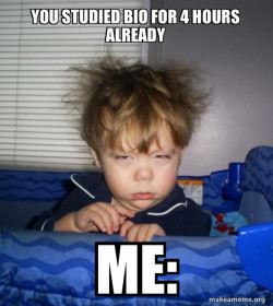 Monday Mornings