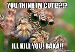 Hipster Spider