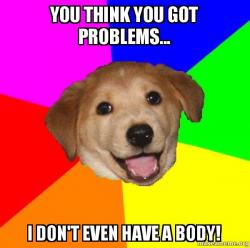 Advice Dog