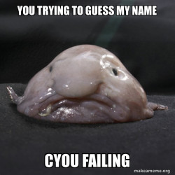 Blobfish