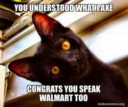 Overly Attached Cat