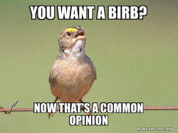 Common Opinion Sparrow