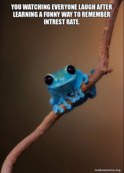 Small Fact Frog