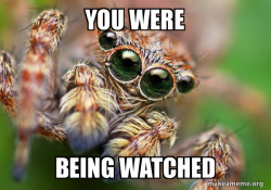 Hipster Spider