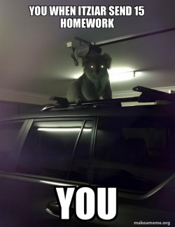 Drop Bear
