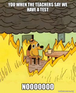 This Is Fine