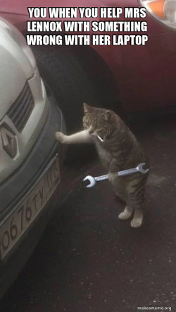 Mechanic Cat